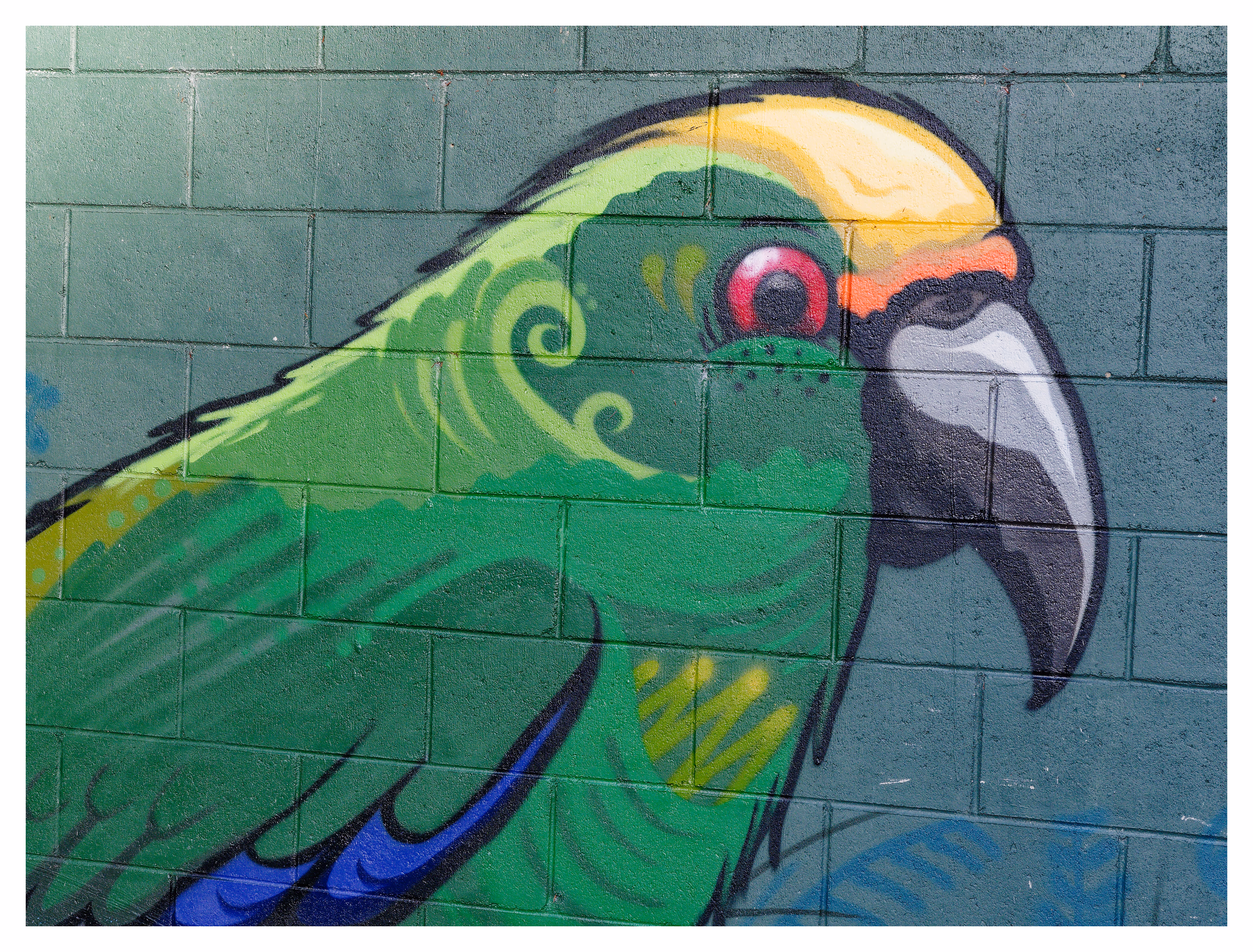 Image from Street photo album