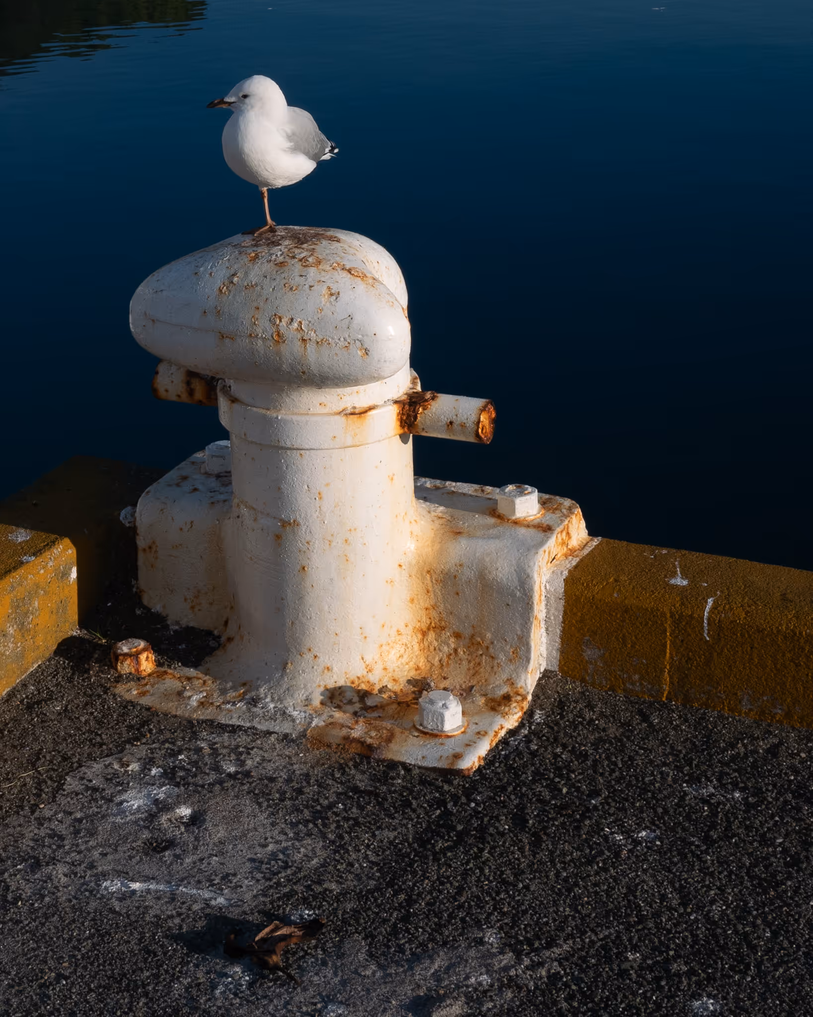 Image from Landscape album